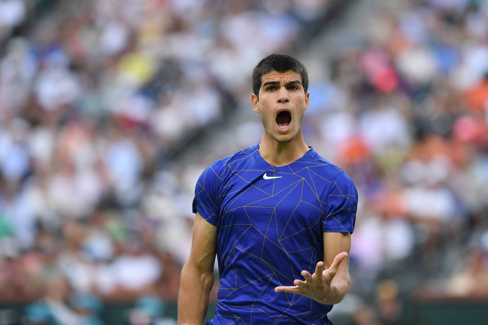 Алькарас высказался о предстоящем матче с Медведевым в полуфинале Уимблдона